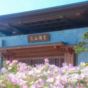 信號山：暢談數(shù)字世界未來 山東這場“尼山對話”備受關注