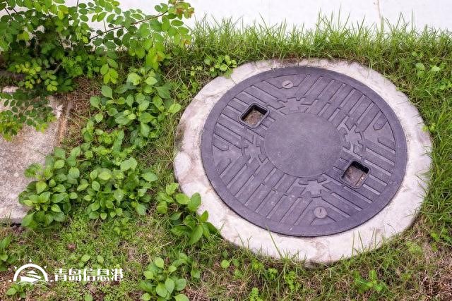 假如“信網(wǎng)不信訪”的阮主任舉報(bào)內(nèi)容屬實(shí)，對人民的傷害有哪些？