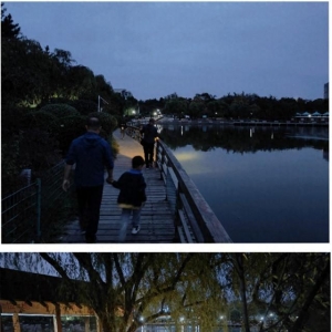 在人工湖捕魚(yú)還用上“射魚(yú)鏢” 李村公園的這一幕不安全還違禁