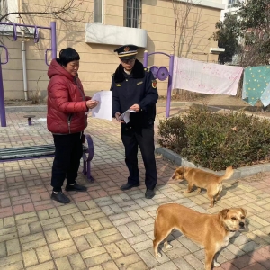 同和執(zhí)法中隊(duì)開(kāi)展“文明養(yǎng)犬”執(zhí)法巡查工作 促進(jìn)“人犬和諧共處” ...