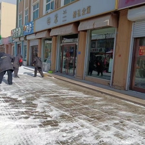 南村執(zhí)法中隊清掃積雪在行動！