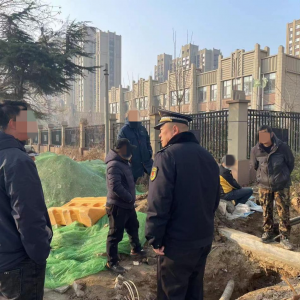 毀綠行為不可取，綜合執(zhí)法護(hù)綠色