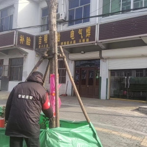 南村執(zhí)法中隊精準(zhǔn)“凈顏”，助推城鎮(zhèn)品質(zhì)提升！