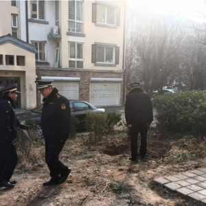 平度市東閣街道執(zhí)法中隊(duì)集中整治占綠毀綠，營造整潔、美好的人居環(huán)境 ...