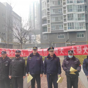 李園街道綜合行政執(zhí)法中隊(duì)：加強(qiáng)犬只管理，營(yíng)造和諧氛圍