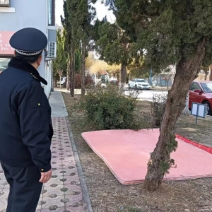 平度市東閣街道執(zhí)法中隊(duì)整治占綠毀綠，守護(hù)美好家園