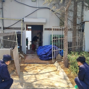 平度市東閣街道執(zhí)法中隊：隨意損壞植被，罰