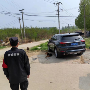 鳳臺(tái)執(zhí)法中隊(duì)：文明養(yǎng)犬，你我共行