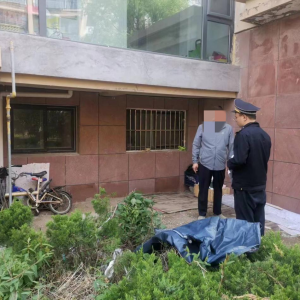 查處毀綠行為，還居民美好家園