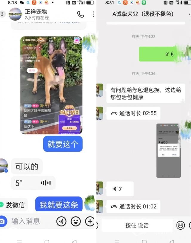 快手直播賣寵物卻讓“微信上聊” 私下交易貨不對板