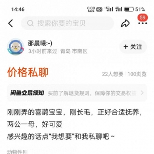 二手交易平臺(tái)上有人售賣喜鵲幼鳥 公安機(jī)關(guān)已介入調(diào)查