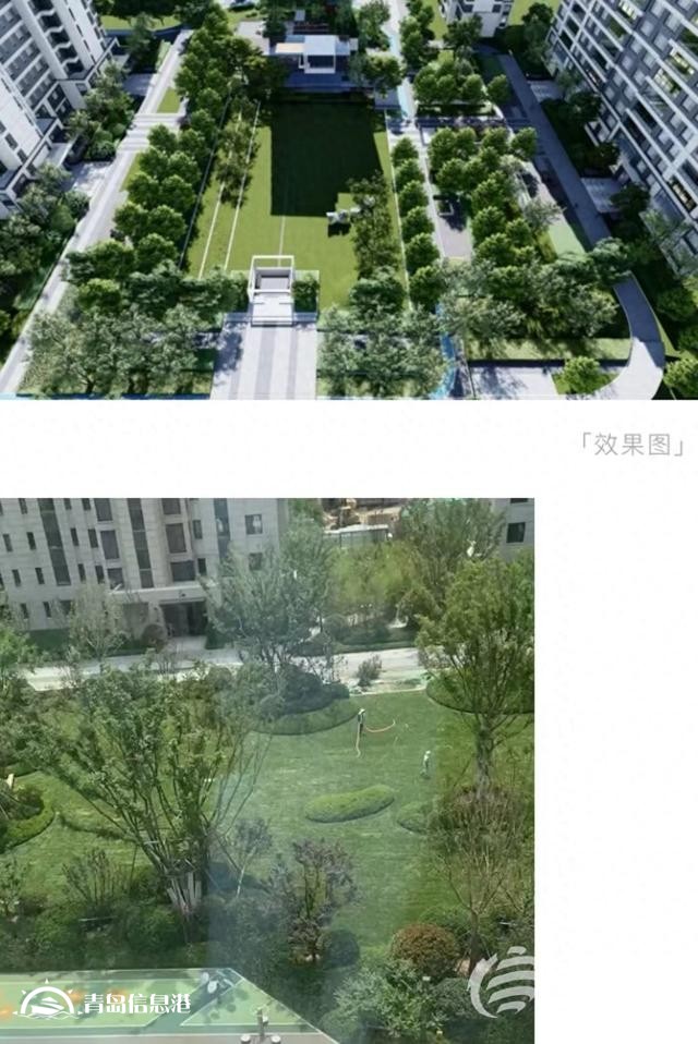 業(yè)主質(zhì)疑金茂府交付標準減配 開發(fā)商將對綠化景觀提升