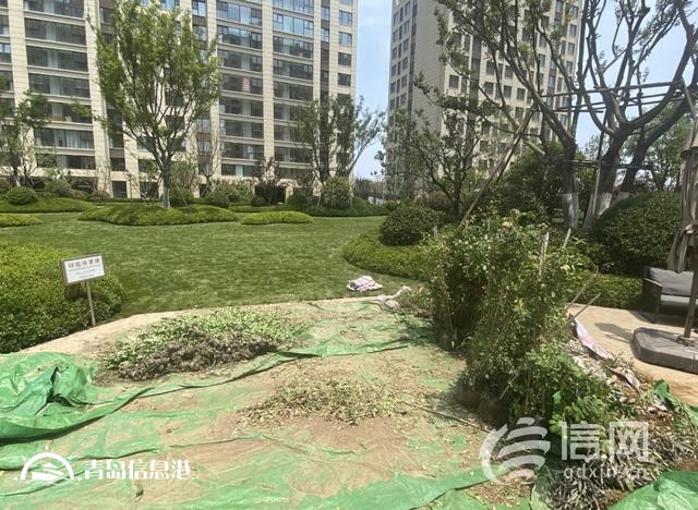 業(yè)主質(zhì)疑金茂府交付標準減配 開發(fā)商將對綠化景觀提升