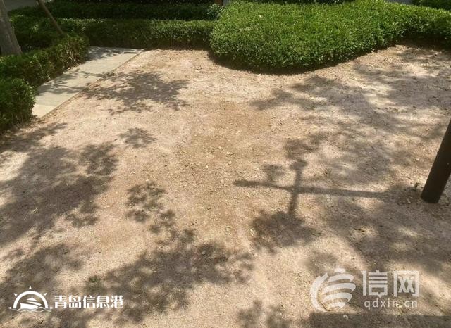業(yè)主質(zhì)疑金茂府交付標準減配 開發(fā)商將對綠化景觀提升