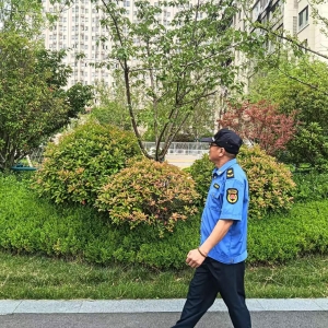 平度市東閣街道執(zhí)法中隊嚴查占綠毀綠，讓城市更美好