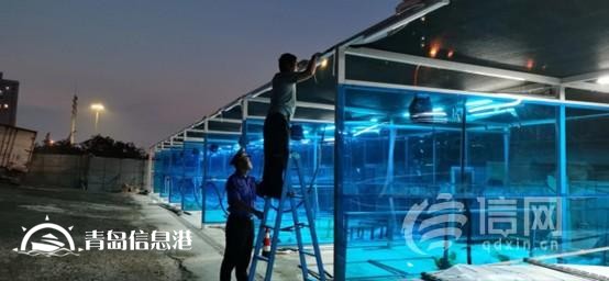 寧夏路街道著手違建拆除行動 積極推動城市更新進程