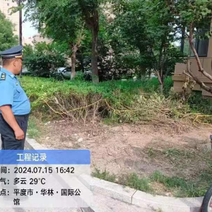李園街道綜合行政執(zhí)法中隊“執(zhí)法進(jìn)社區(qū) 綠化水平再提升”