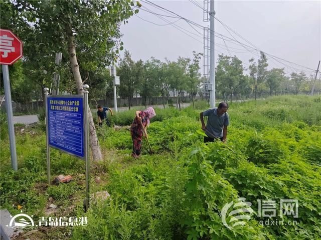 青島市首個(gè)以工代賑中央預(yù)算內(nèi)投資項(xiàng)目正式開工