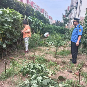 平度市東閣街道執(zhí)法中隊(duì)解決群眾訴求，多舉措整治占綠毀綠行為 ...