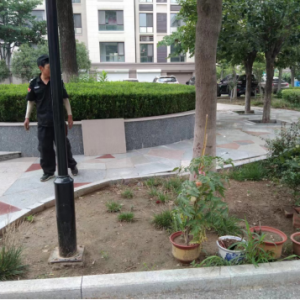 同和執(zhí)法中隊：加強園林綠化執(zhí)法巡查，守護城市綠色空間