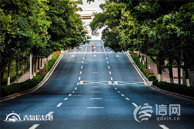 信號(hào)山：四大交通節(jié)點(diǎn)同日通車 青島高質(zhì)量發(fā)展換擋提速