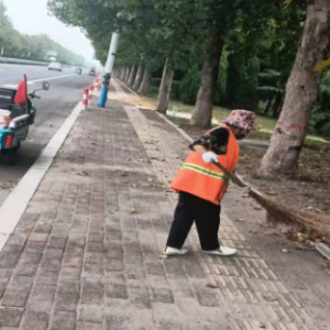 全面清理落葉，確保道路干凈整潔