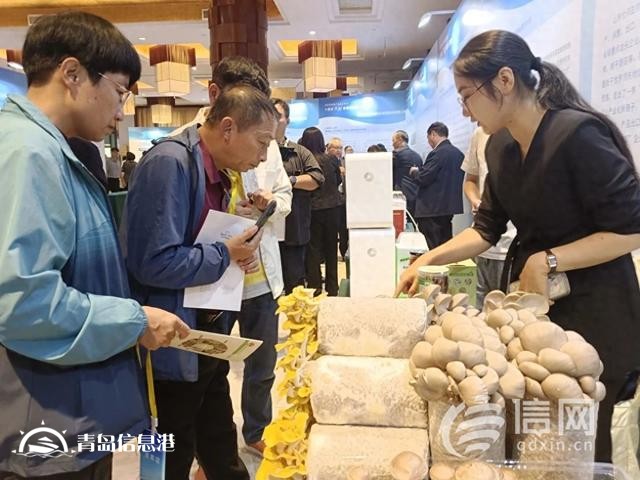 新品種新技術 國家食用菌產(chǎn)業(yè)技術體系“三新”交流會在萊西舉辦