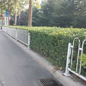 同和執(zhí)法中隊(duì)市政公用巡查：守護(hù)城市之美
