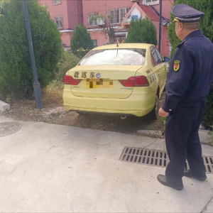 鳳臺執(zhí)法中隊：整治車輛占綠 還綠地一片生機