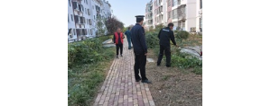 李園街道綜合行政執(zhí)法中隊(duì)：對(duì)侵占綠地種菜行為說“不”！ ...
