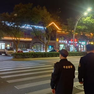 靜夜守護者：同和執(zhí)法中隊夜間噪音執(zhí)法進行時