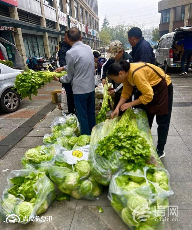 “信新市集”走進(jìn)周口路社區(qū) 平價(jià)蔬菜琳瑯滿目居民樂享“煙火氣”