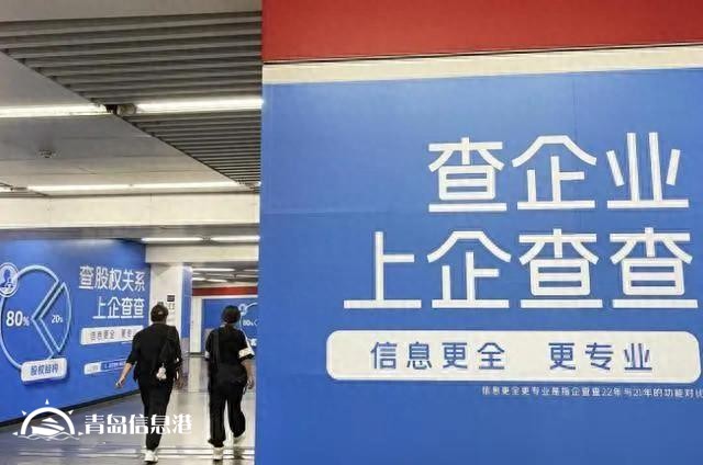 IPO觀察丨企查查沖擊資本市場，商業(yè)查詢是門好生意嗎