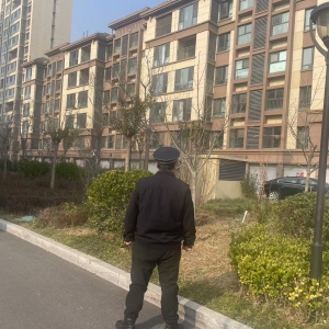 平度市東閣街道執(zhí)法中隊緊盯群眾“急難愁盼”，集中整治占綠毀綠 ...