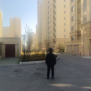 同和執(zhí)法中隊(duì)“守綠護(hù)綠”進(jìn)行時(shí)