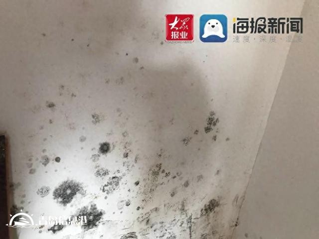 插座漏水墻皮脫落，領秀珊瑚灣新房質量堪憂