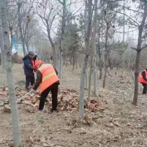及時(shí)清理路面積土，營(yíng)造干凈整潔的宜居環(huán)境