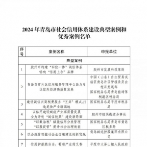 青島市2024年社會信用體系建設(shè)典型案例和優(yōu)秀案例名單揭曉