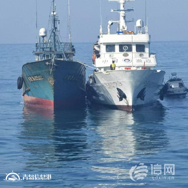 青島市海洋局開展海陸聯(lián)動(dòng)執(zhí)法 嚴(yán)查涉漁領(lǐng)域違法行為