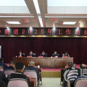 金家?guī)X街道召開2025年工作動(dòng)員大會(huì)