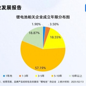 復(fù)旦新成果延長鋰電池壽命 超7成相關(guān)企業(yè)成立五年以上