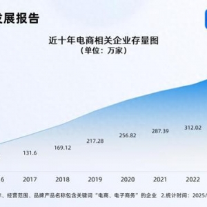 年貨節(jié)成績單亮眼 國內(nèi)電商相關(guān)企業(yè)存量破380萬家
