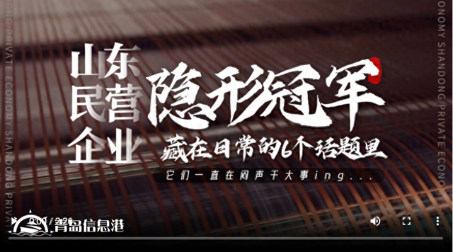 這些“隱形大佬”都是山東民營企業(yè)