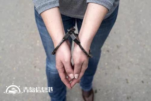 8000多人受騙的哈爾濱“中國信網(wǎng)”詐騙案告破