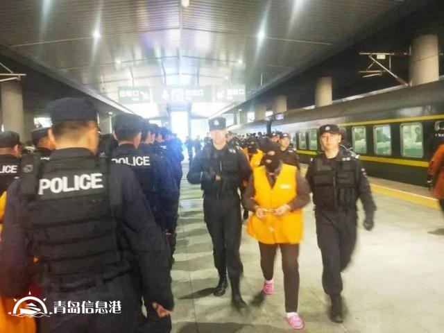 8000多人受騙的哈爾濱“中國信網(wǎng)”詐騙案告破