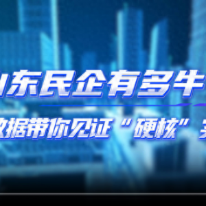 山東民企有多牛？一組數(shù)據(jù)帶你見證“硬核”實(shí)力