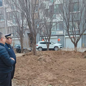平度市東閣街道執(zhí)法中隊(duì)“信用+”整治占綠毀綠，守護(hù)綠色家園 ...