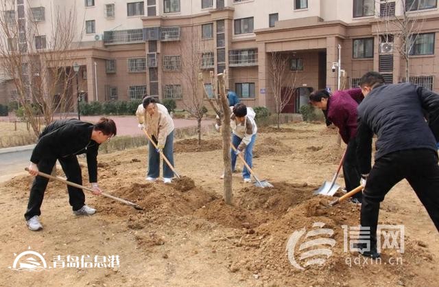 嶗山區(qū)金家?guī)X街道舉辦2025年義務(wù)植樹活動 共繪生態(tài)夢