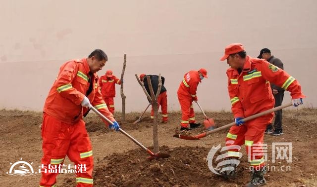 嶗山區(qū)金家?guī)X街道舉辦2025年義務(wù)植樹活動 共繪生態(tài)夢