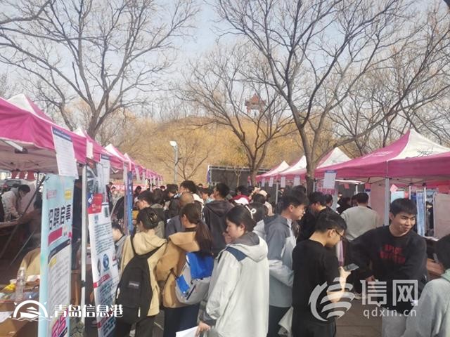 嶗山區(qū)引才“專列”入校 激發(fā)省內(nèi)高校青年就業(yè)熱潮